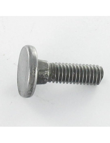 1 x Schroeven platte kop vierkante kraag M8X25...