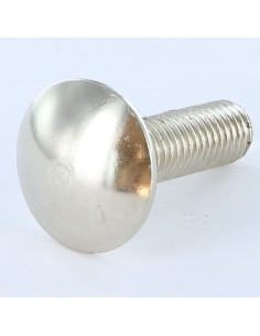 Slotbouten M12X40 volledige draad Nikkelstaal