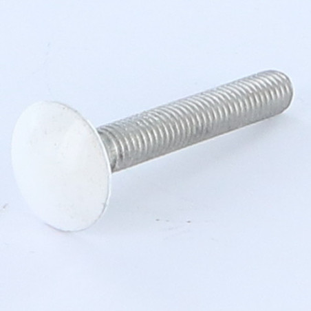 1 x Slotbouten M7X40 steek van100 volledige draad Aluminium RAL9016 verkeerswit 80%B