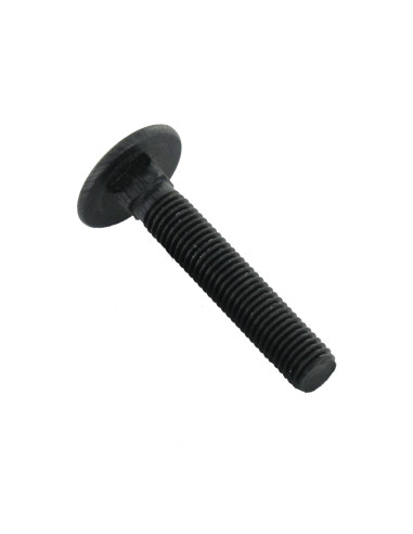 1 x Slotbouten M8X110 volledige draad Zwart...