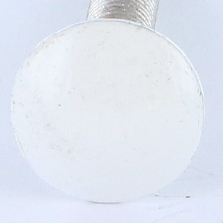 1 x Slotbouten M6X50 volledige draad Aluminium Wit verzinkt staal witte lak RAL9016 verkeerswit