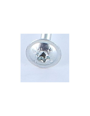 1 x Agglo houtschroeven schijfkop TORX T25...