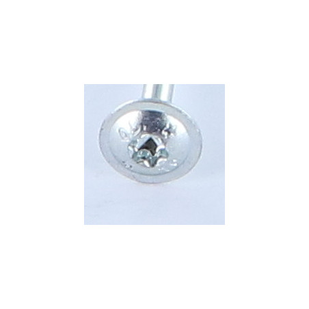 1 x Agglo houtschroeven schijfkop TORX T25 5X100 Wit verzinkt staal