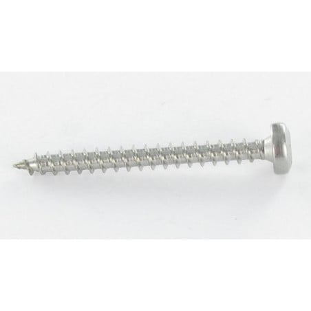 1 x Agglo houtschroeven ronde kop 5X25 TORX T25 Wit verzinkt staal