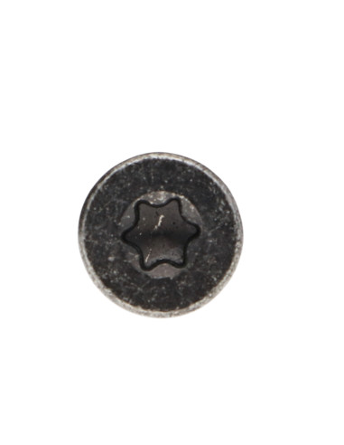 1 x Agglo houtschroeven gefreesde kop TORX T25...