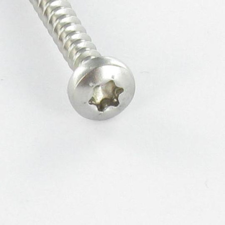 1 x Agglo houtschroeven ronde kop 5X30 TORX T25 Wit verzinkt staal