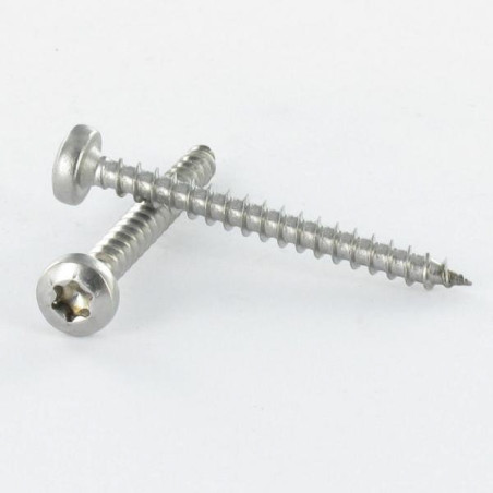 1 x Agglo houtschroeven ronde kop 3X20 TORX T10 Wit verzinkt staal microschroeven