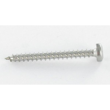 1 x Agglo houtschroeven ronde kop 5X60 TORX T25 Wit verzinkt staal