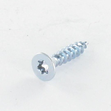 1 x Agglo houtschroeven gefreesde kop TORX T10 3X12 Wit verzinkt staal microschroeven