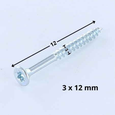 1 x Agglo houtschroeven gefreesde kop TORX T10 3X12 Wit verzinkt staal microschroeven