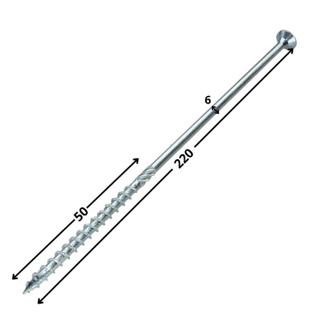 1 x Frameschroef TEKOR gefreesde kop kartel TORX T30 6X220 bedraad op 100 anti-splijtpunt type 17 cut Wit verzinkt staal