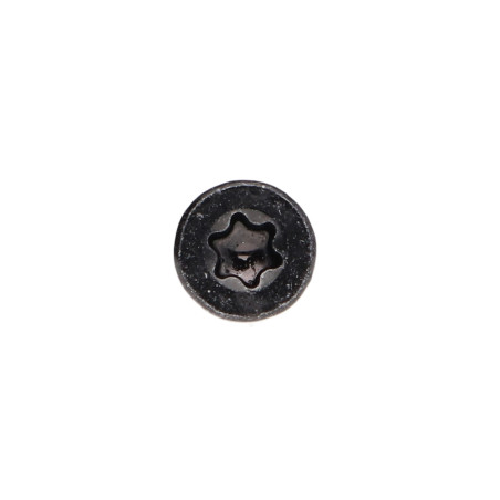 1 x Agglo houtschroeven gefreesde kop TORX T15 3,5X20 volledige draad Zwart gegalvaniseerd staal