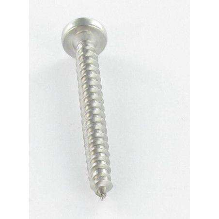 1 x Agglo houtschroeven ronde kop 4X40 TORX T20 Wit verzinkt staal