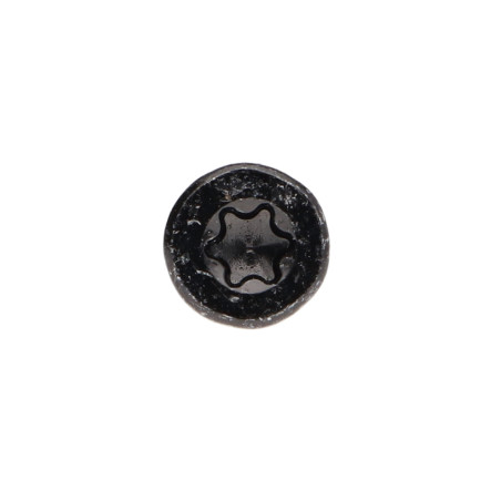 1 x Agglo houtschroeven gefreesde kop TORX T20 4X40 bedraad op 24 Zwart gegalvaniseerd staal