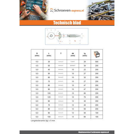 1 x Frameschroef TEKOR gefreesde kop kartel TORX T25 5X100 bedraad op 60 anti-splijtpunt type 17 cut Wit verzinkt staal