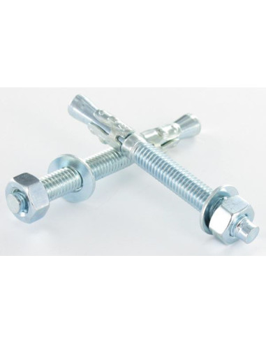 1 x Bout Verankering M10X100 Wit verzinkt staal