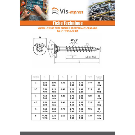 1 x TEKOR houtschroeven gefreesde kop kartel 4X20 TORX T20 Wit verzinkt staal volledige draad anti-splijtpunt type 17 cut