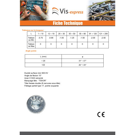 1 x TEKOR houtschroeven gefreesde kop kartel 4X20 TORX T20 Wit verzinkt staal volledige draad anti-splijtpunt type 17 cut