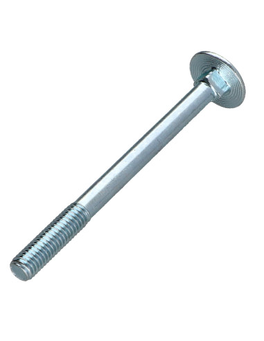 1 x Slotbouten M5X60 gedeeltelijke draad Wit...