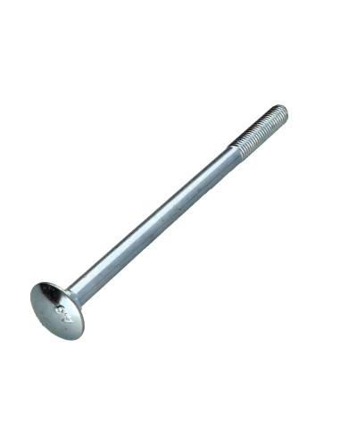 1 x Slotbouten M12X190 gedeeltelijke draad Wit...