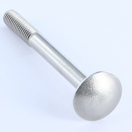 1 x Slotbouten M12X290 gedeeltelijke draad Wit verzinkt staal