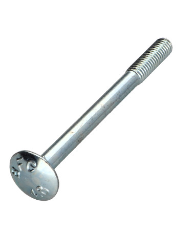 1 x Slotbouten M6X70 gedeeltelijke draad Wit...