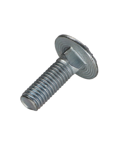 1 x Slotbouten M10X30 gedeeltelijke draad...