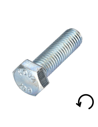 1 x Metalen schroeven zeskantkop TH steek links...