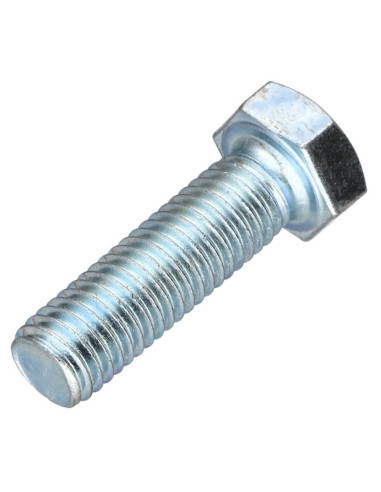 1 x Metalen schroeven zeskantkop TH steek links...