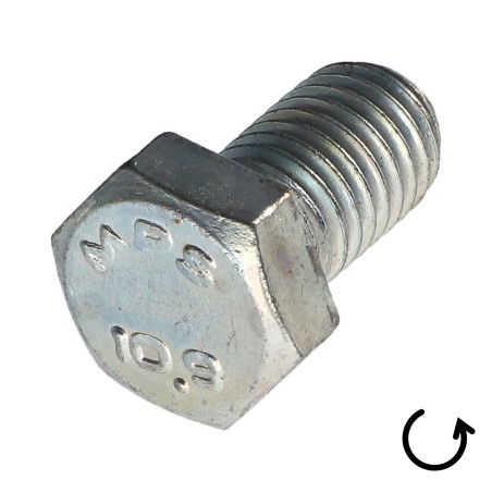 1 x Metalen schroeven zeskantkop TH steek links M6X10 klasse 10.9 geomet staal