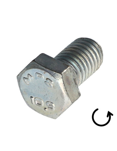 1 x Metalen schroeven zeskantkop TH steek links...