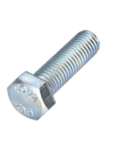 1 x Metalen schroeven zeskantkop TH steek links...