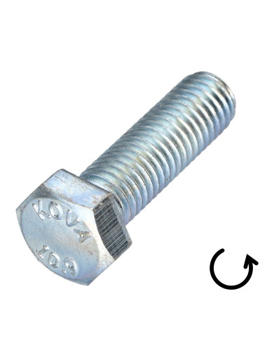 1 x Metalen schroeven zeskantkop TH steek links...