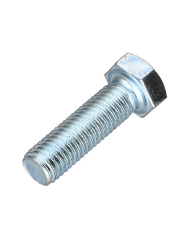 1 x Metalen schroeven zeskantkop TH steek links...