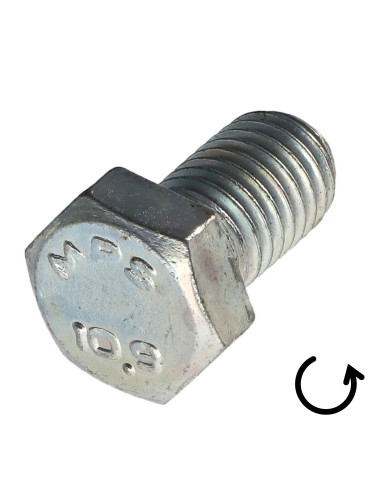 1 x Metalen schroeven zeskantkop TH steek links...