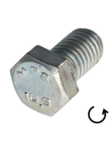 1 x Metalen schroeven zeskantkop TH steek links...