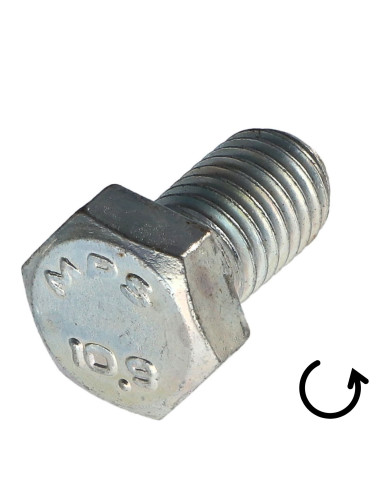 1 x Metalen schroeven zeskantkop TH steek links...