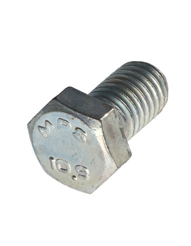 1 x Metalen schroeven zeskantkop TH steek links...