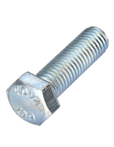 1 x Metalen schroeven zeskantkop TH steek links...