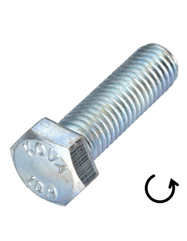 1 x Metalen schroeven zeskantkop TH steek links...