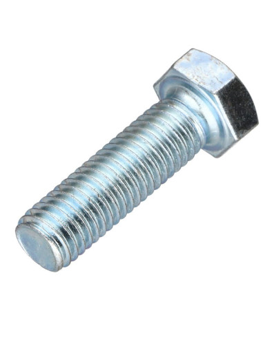 1 x Metalen schroeven zeskantkop TH steek links...