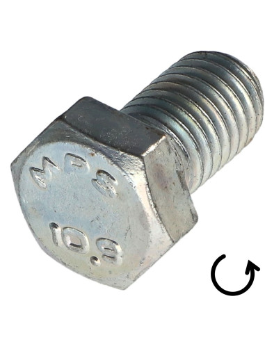 1 x Metalen schroeven zeskantkop TH steek links...