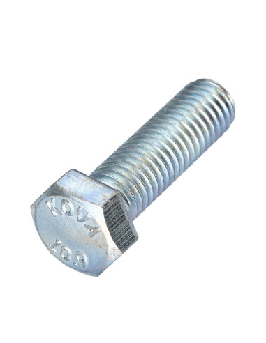 1 x Metalen schroeven zeskantkop TH steek links...