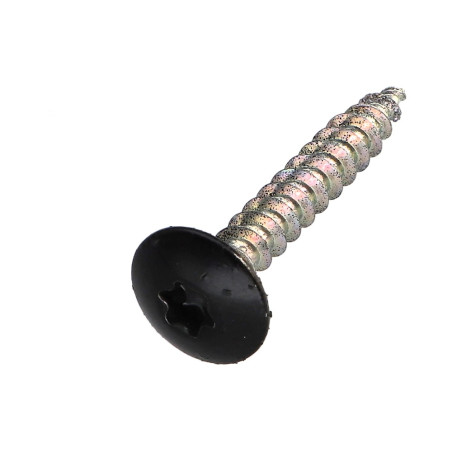 1 x Schroeven scharnier 4X30 bedraad op 20 TORX T20 Wit verzinkt staal RAL9005 donker zwart 30%B