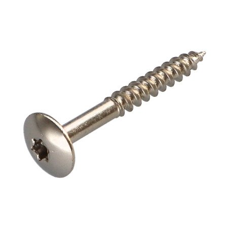 1 x Schroeven scharnier 5X40 volledige draad TORX T20 Nikkelstaal