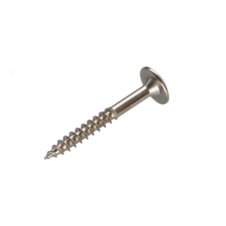 1 x Schroeven scharnier 5X40 volledige draad TORX T20 Nikkelstaal