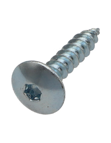 1 x Schroeven scharnier 6X25 volledige draad...