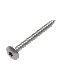 Schroeven scharnier 4,5X50 volledige draad TORX T20...