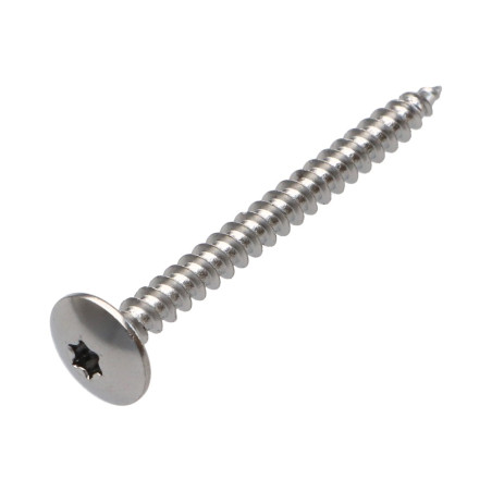 1 x Schroeven scharnier 4,5X50 volledige draad TORX T20 Chroomstaal