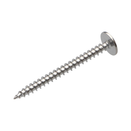 1 x Schroeven scharnier 4,5X50 volledige draad TORX T20 Chroomstaal